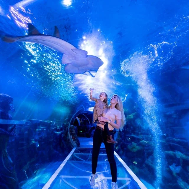 National Sea Life Centre Entrance Ticket